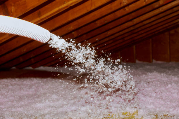 Best Energy Efficiency Solutions in South Carthage, TN