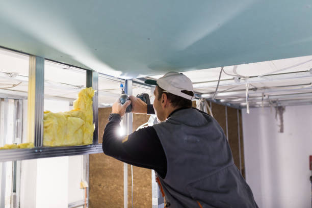 Best Insulation for Specific Applications in South Carthage, TN