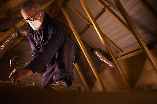 Best Types of Insulation in South Carthage, TN